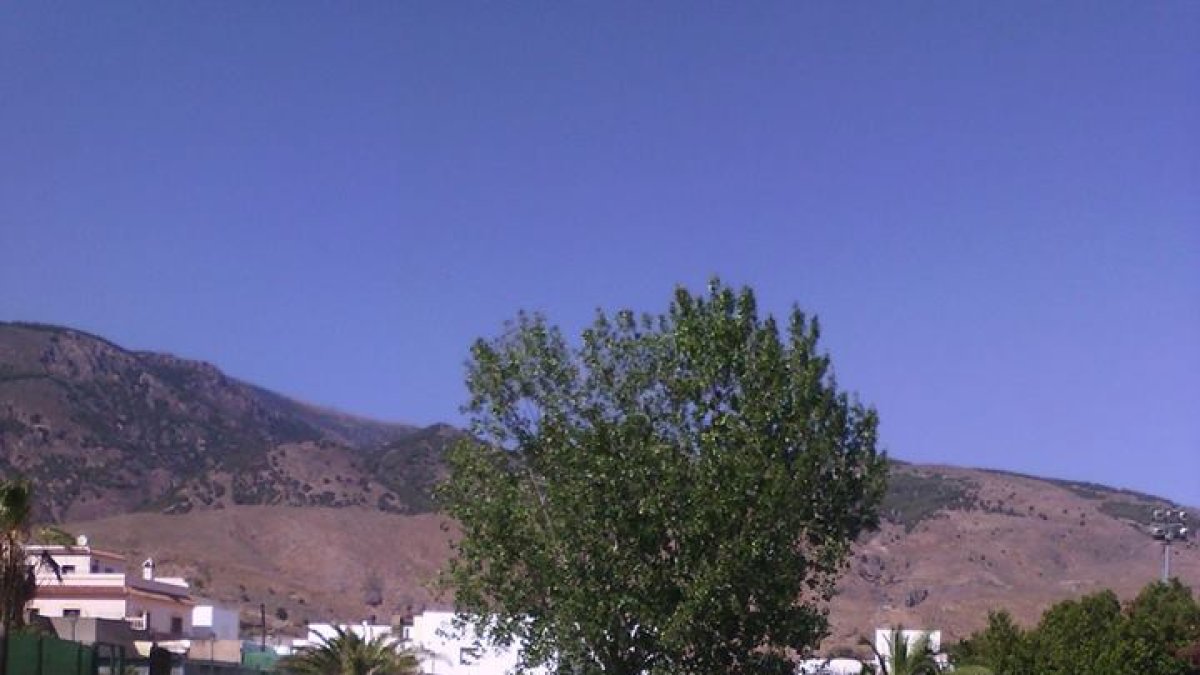 Piscina de verano del municipio de Dalías.
