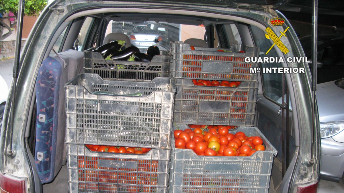 Uno de los vehículos con las cajas.