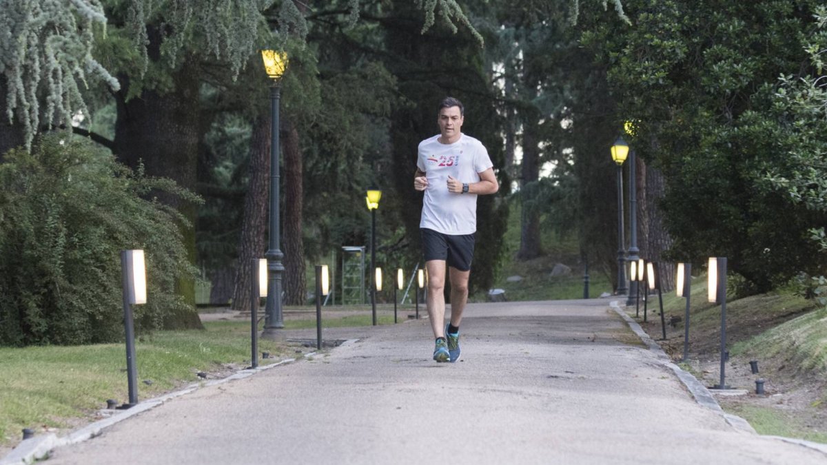 Pedro Sánchez en una de las fotos distribuidas por La Moncloa.