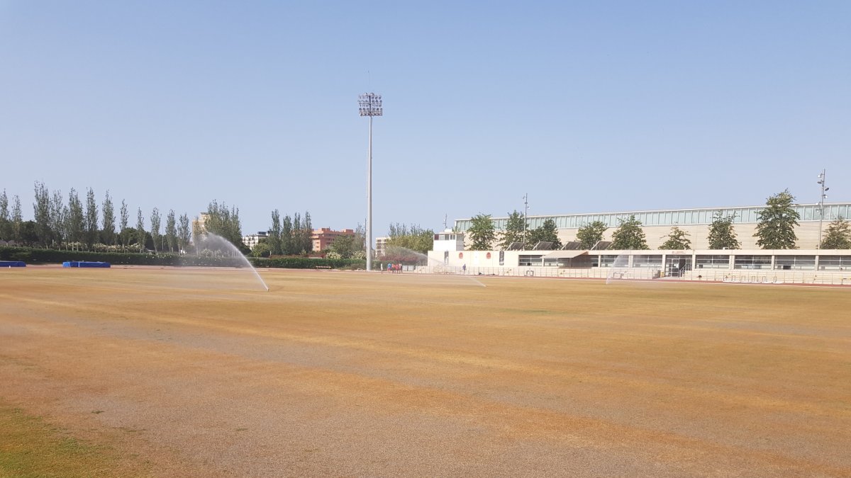 Cambio de césped en el campo Anexo.