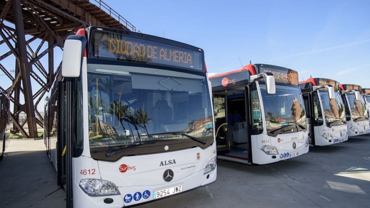 Imagen de archivo de autobuses urbanos.