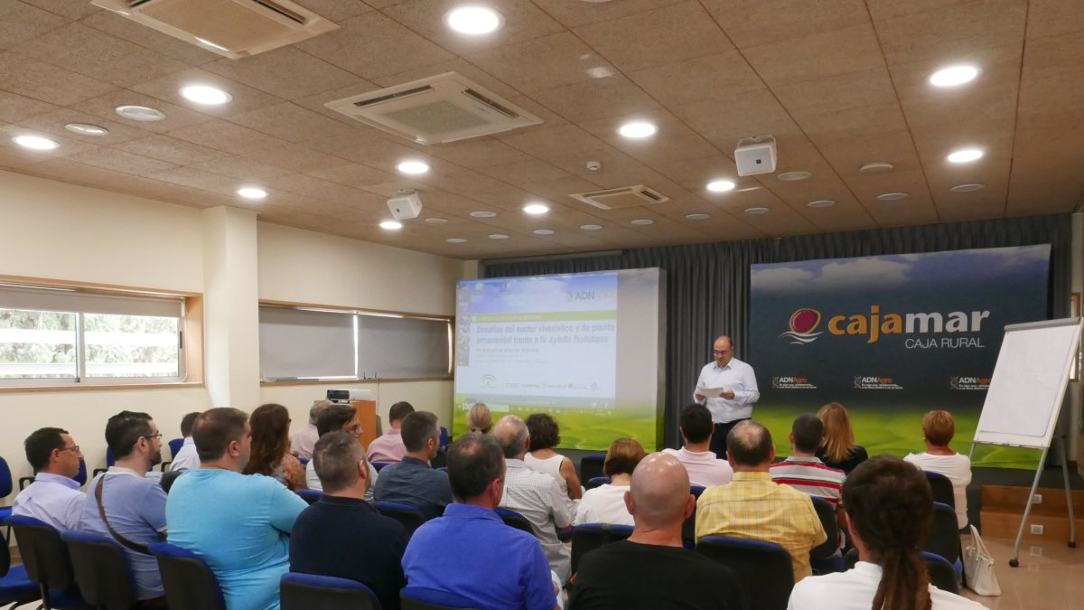 Juan José Hueso, investigador de Las Palmerillas, inauguró la jornada sobre \'Xylella fastidiosa\'.