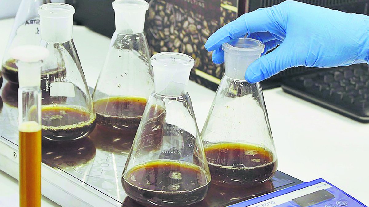 Agroalimentación, biotecnología, ciencias y técnicas de la salud, son algunas de las áreas de investigación de la UAL.