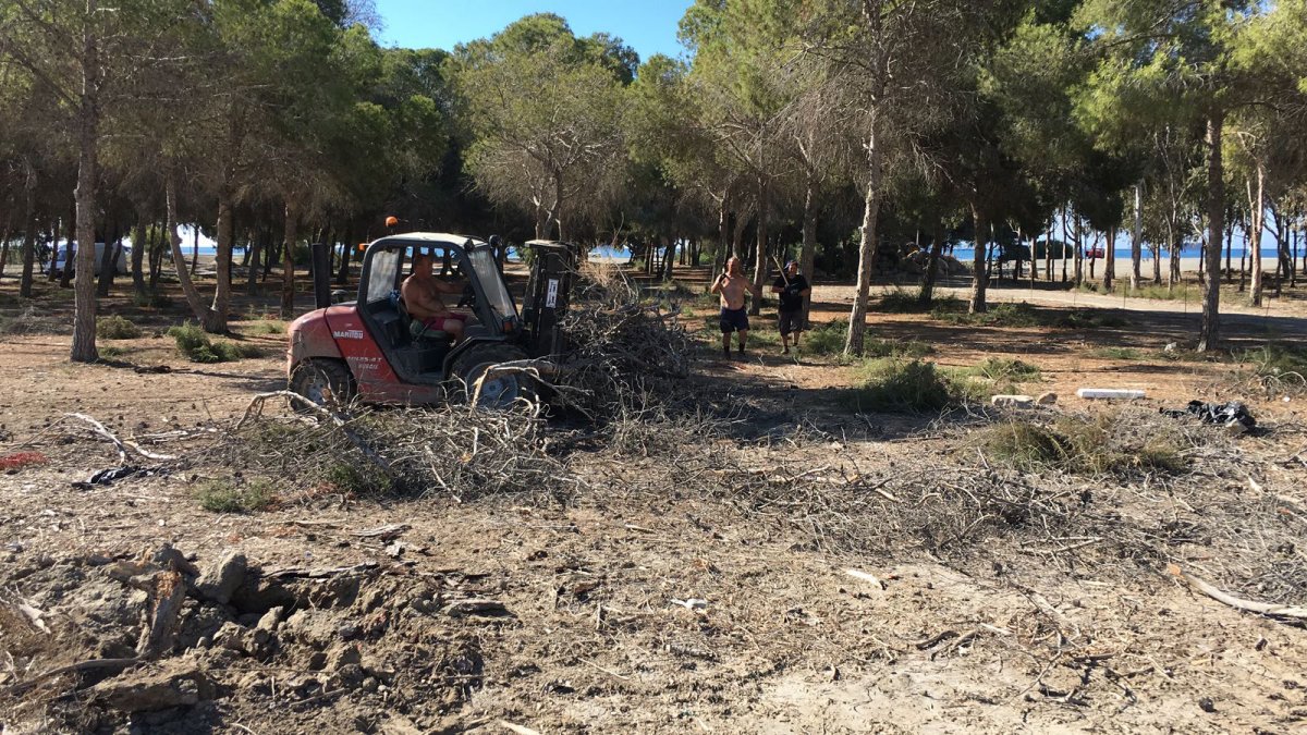 Obras de acondicionamiento del Dreambeach.
