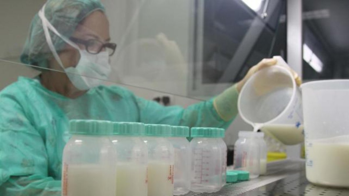 Trabajadora sanitaria trabajando en un banco de leche de la sanidad pública.