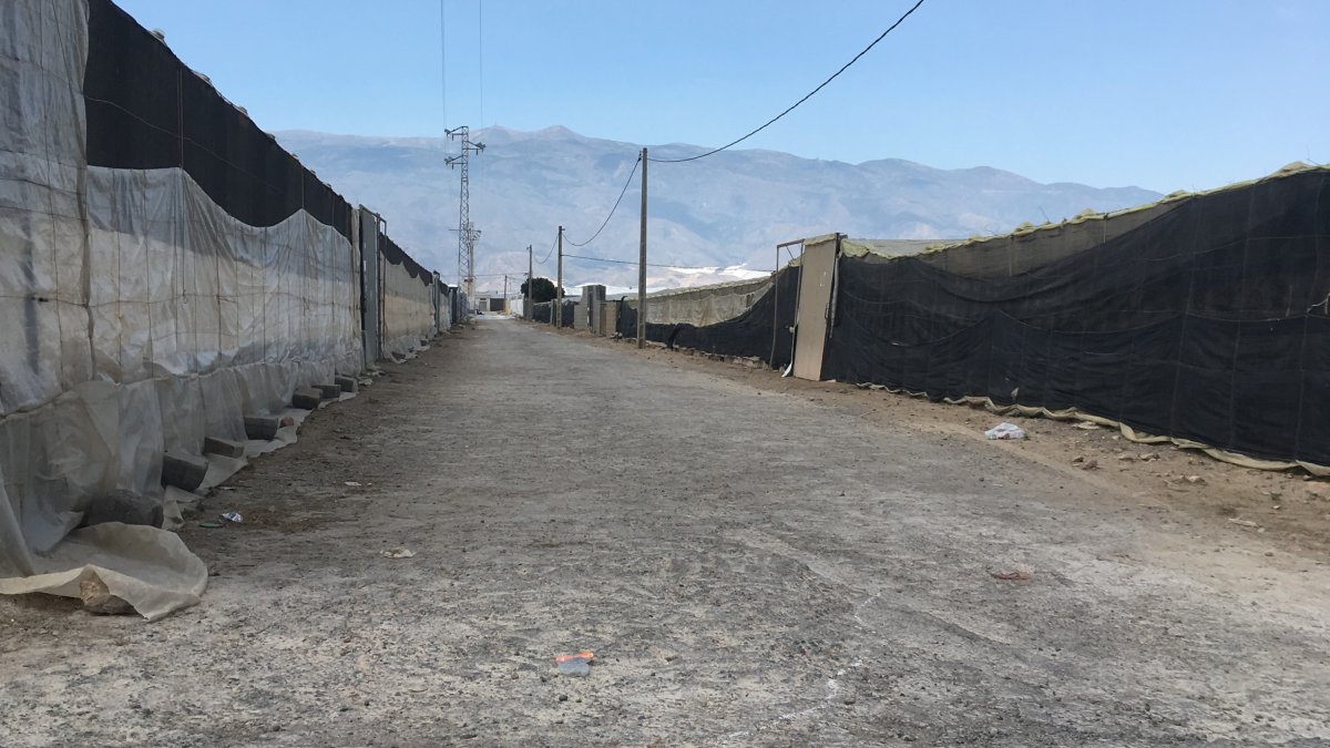 Camino rural ubicado en el municipio de El Ejido.