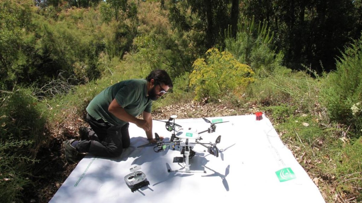 Este sistema de control a través de drones llega a modo de experiencia piloto