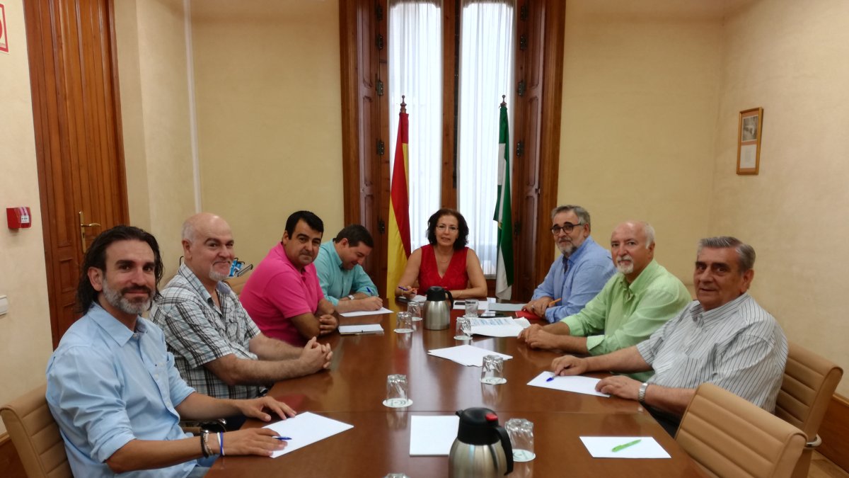 Reunión de la delegada del Gobierno con la Mesa del Tren