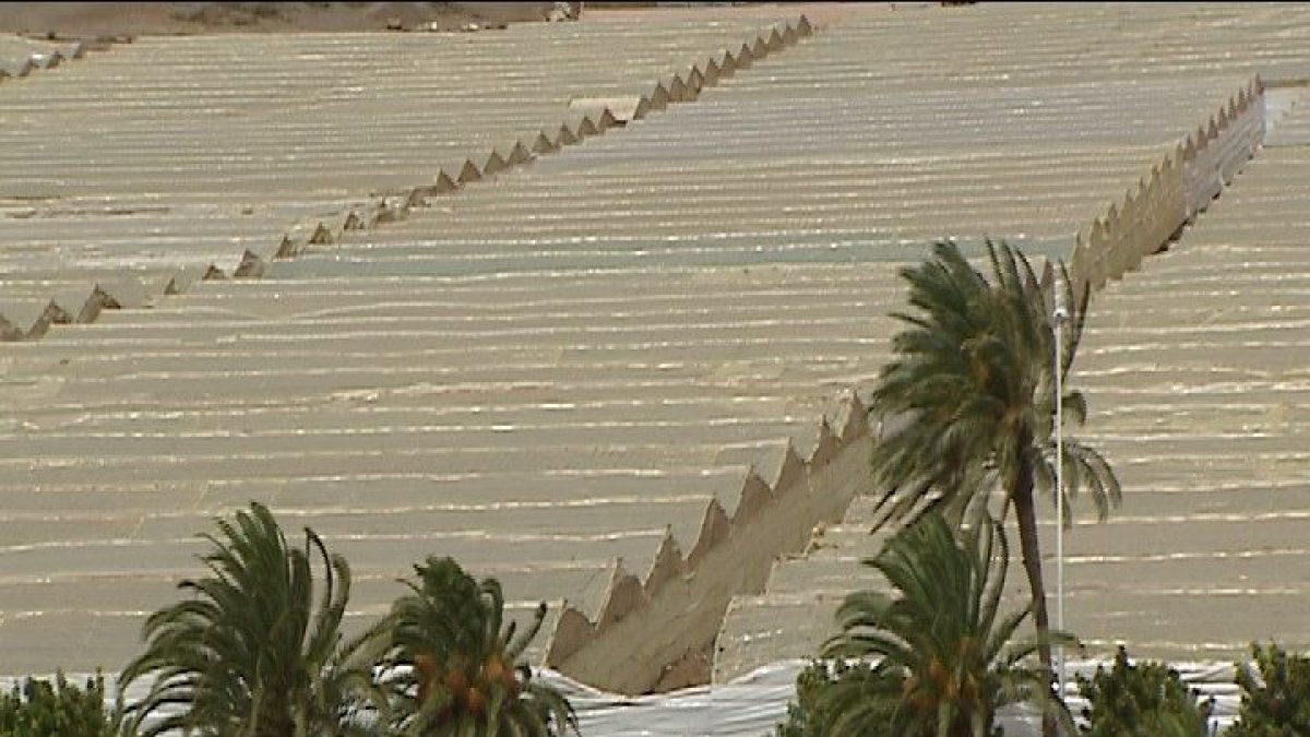 Invernaderos construidos en la zona del Sáhara