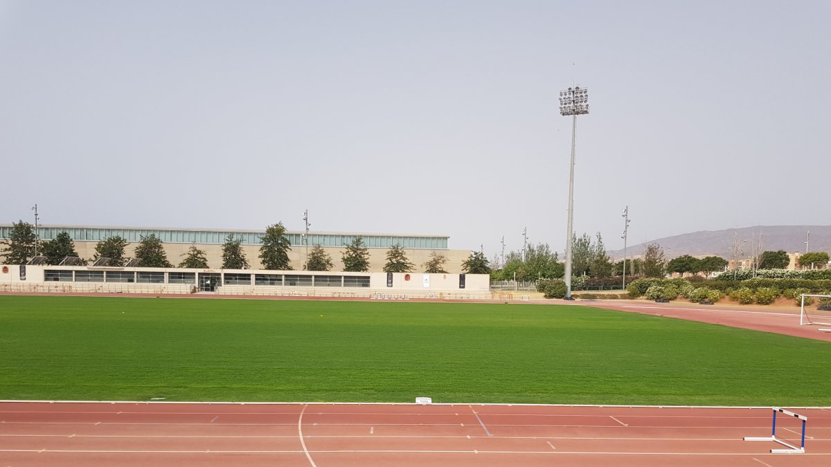 Así se encuentra el césped del campo Anexo.