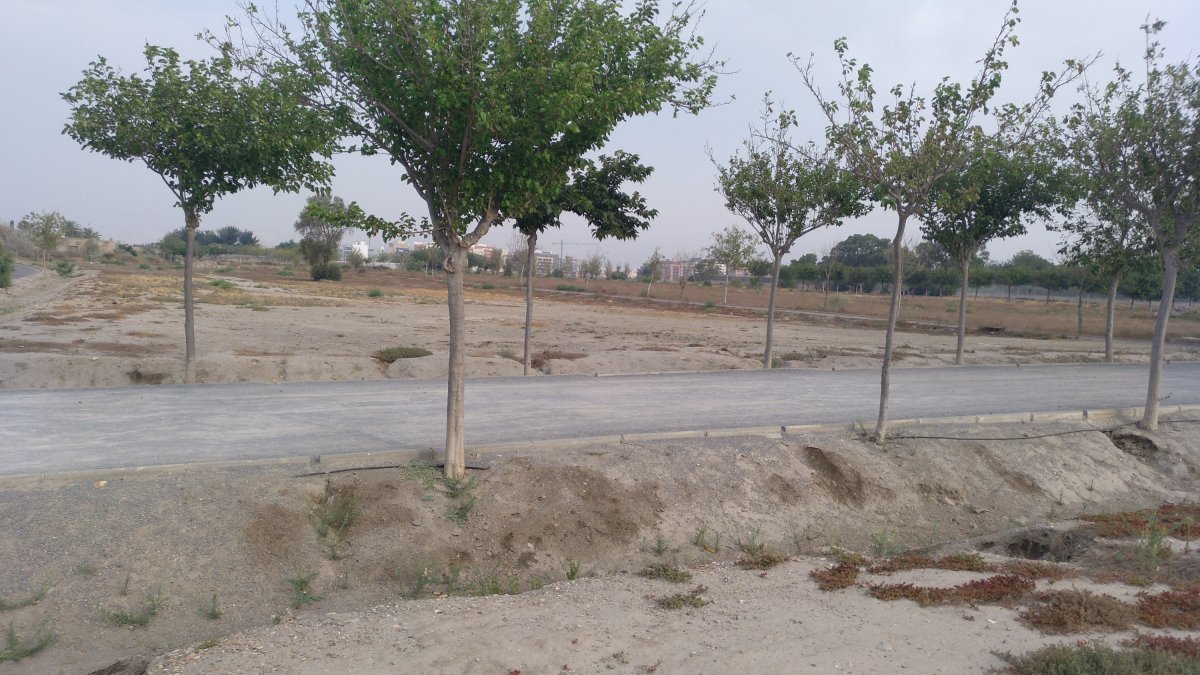 La parcela para la Ciudad Deportiva sigue igual.