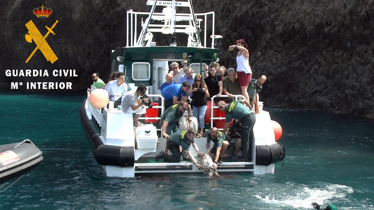 Benjamín vuelve a su medio natural.