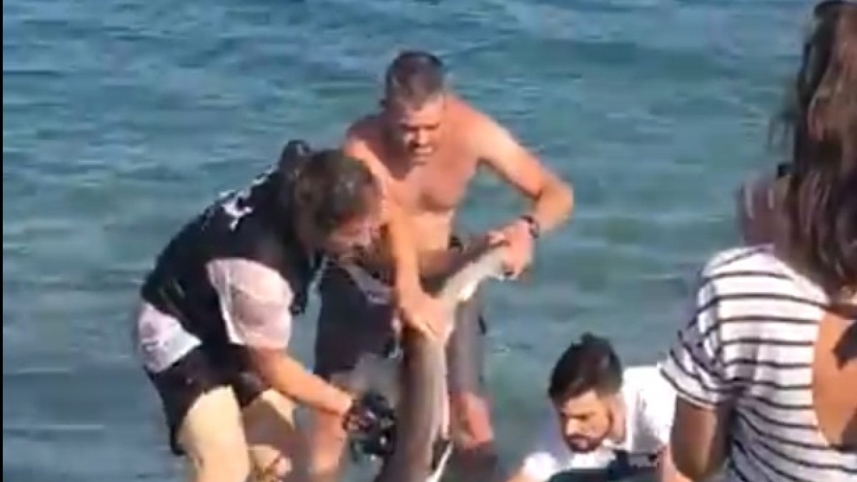 El animal se encuentra herido pero a salvo.