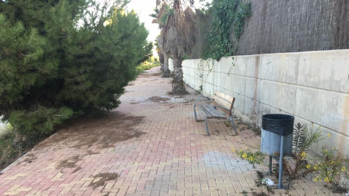 Suciedad y descuido de la vegetación en una zona de la costa.