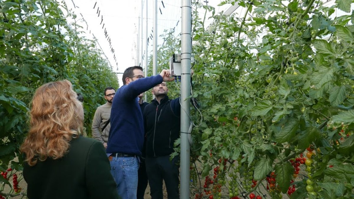 Invernadero inteligente diseñado en el marco del proyecto \'Internet of Food and Farm 2020\'.