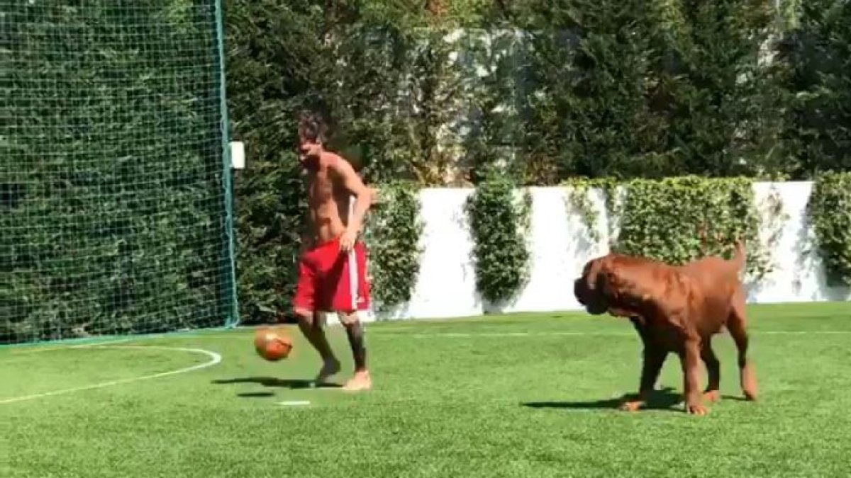 Messi jugando con su perro.