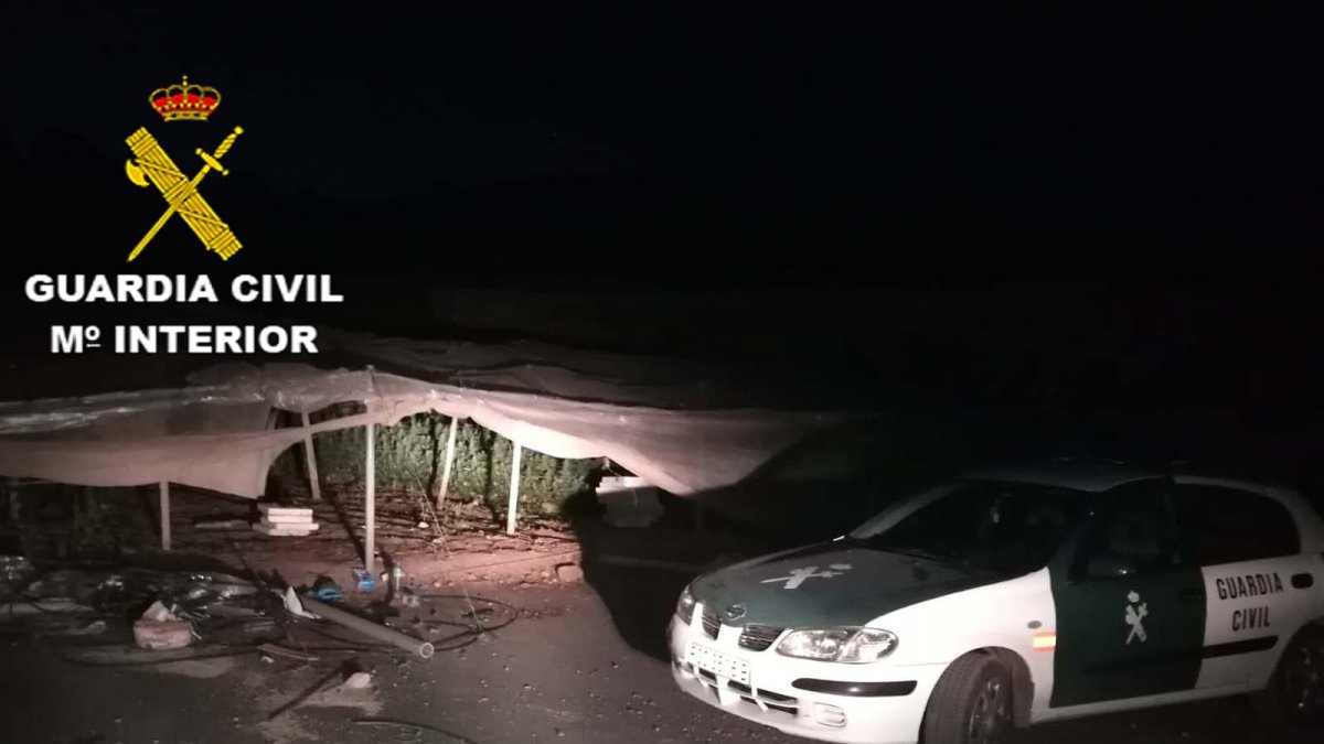 La Guardia Civil, en la finca donde se halló la marihuana.