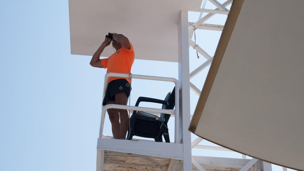 Los socorristas han atendido a más de 1.300 bañistas por picaduras de animales marinos