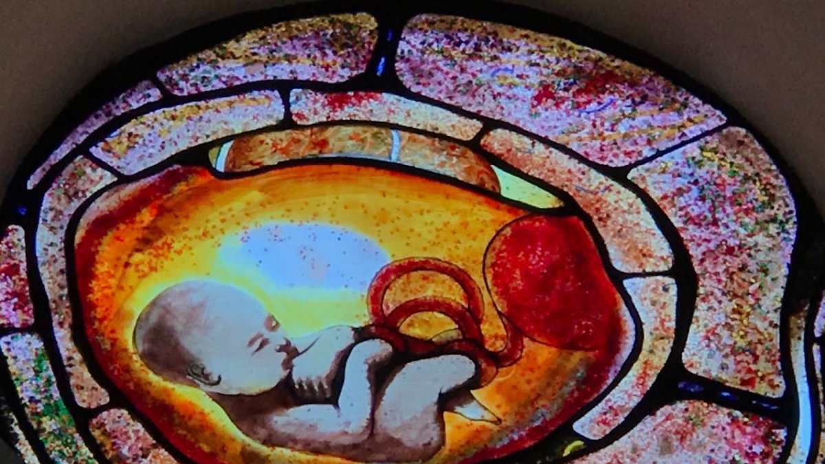 Rosetón de un feto en el momento previo al parto en la iglesia de Turre.