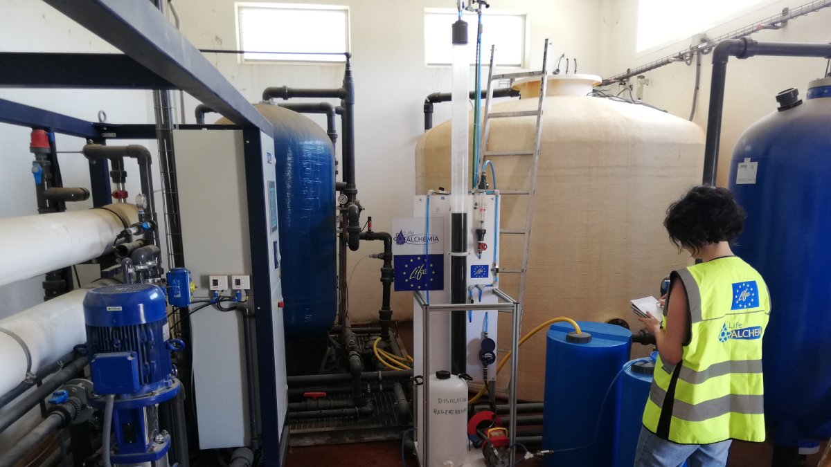 Imagen de una de las investigadoras durante el trabajo de campo realizado con la planta a escala de laboratorio.