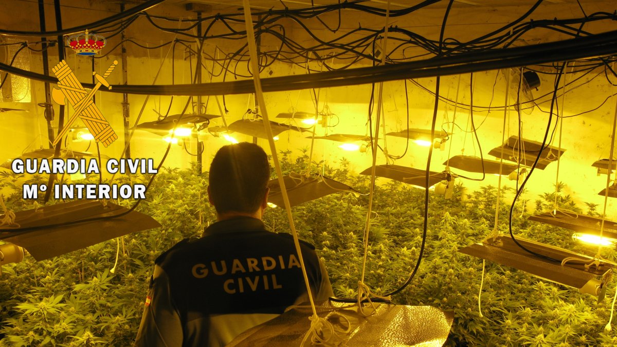 Un agente de la Guardia Civil en una de las actuaciones.