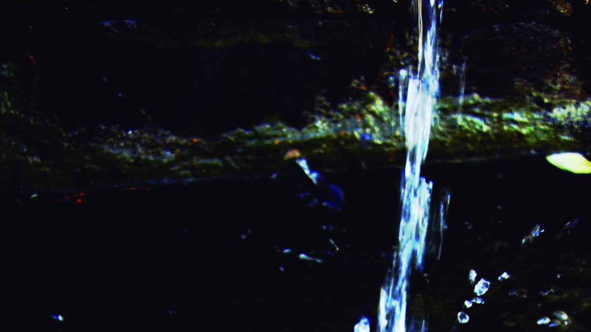 Las fuentes son el vivo testimonio de la riqueza de la zona.