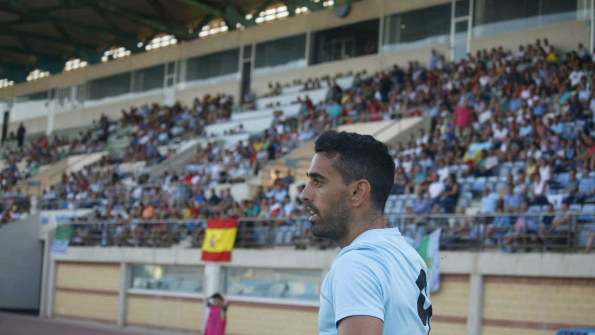 Pino con la Tribuna de Santo Domingo de fondo.
