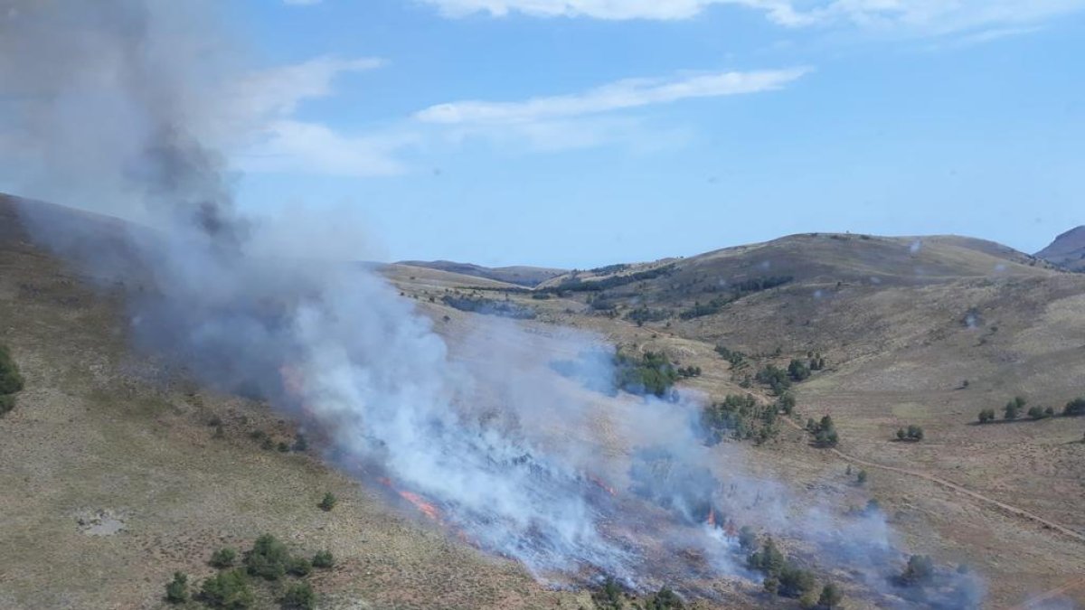 Imagen del incendio de Dalías difundida por Infoca a través de su cuenta de Twitter.