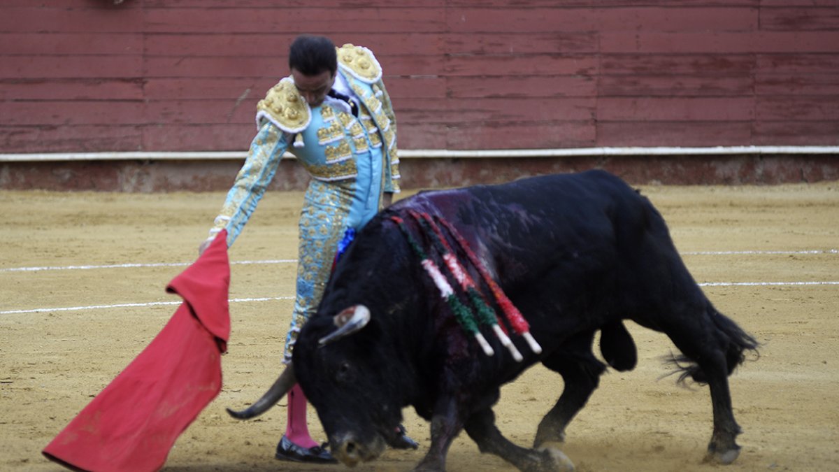 La muleta de Ponce parece, algunas veces, que tiene un poder mágico sobre el toro. El público almeriense reeditó un año más su acendrado poncismo.