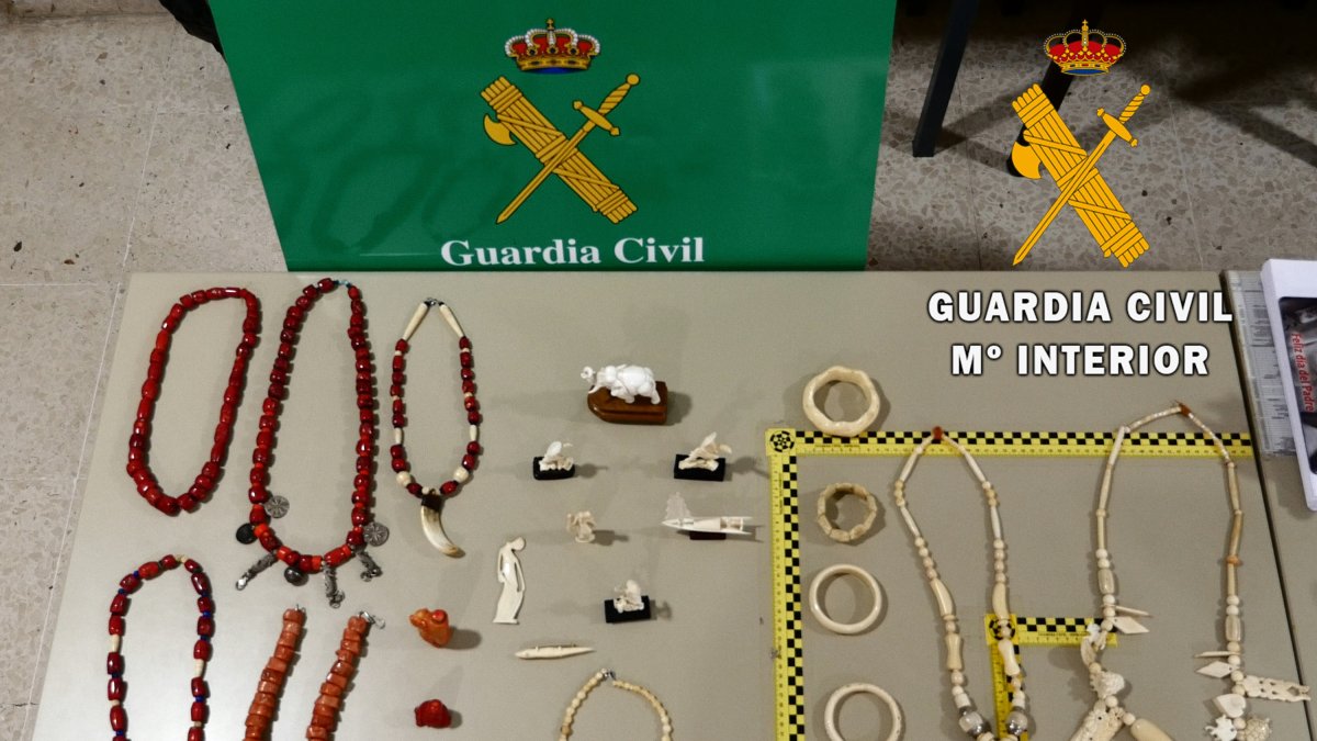 Material incautado durante la operación.