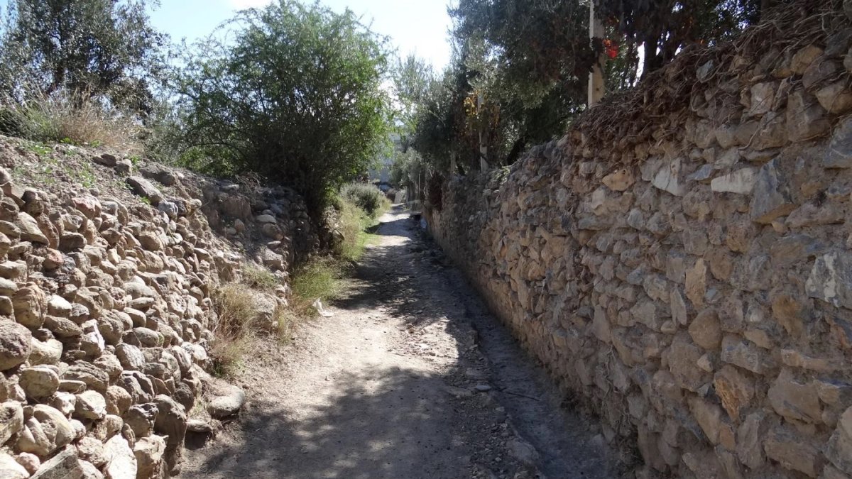 Camino por el que discurrirá el itinerario saludable.