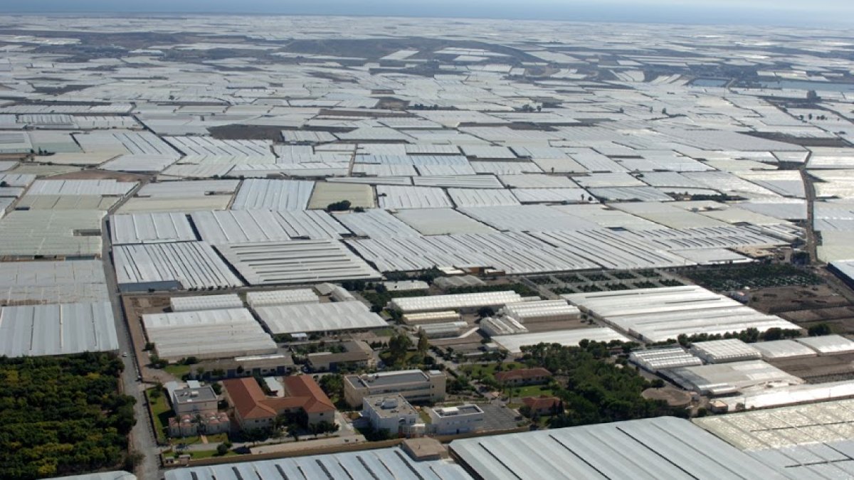 Vista aérea del mar de plástico almeriense.