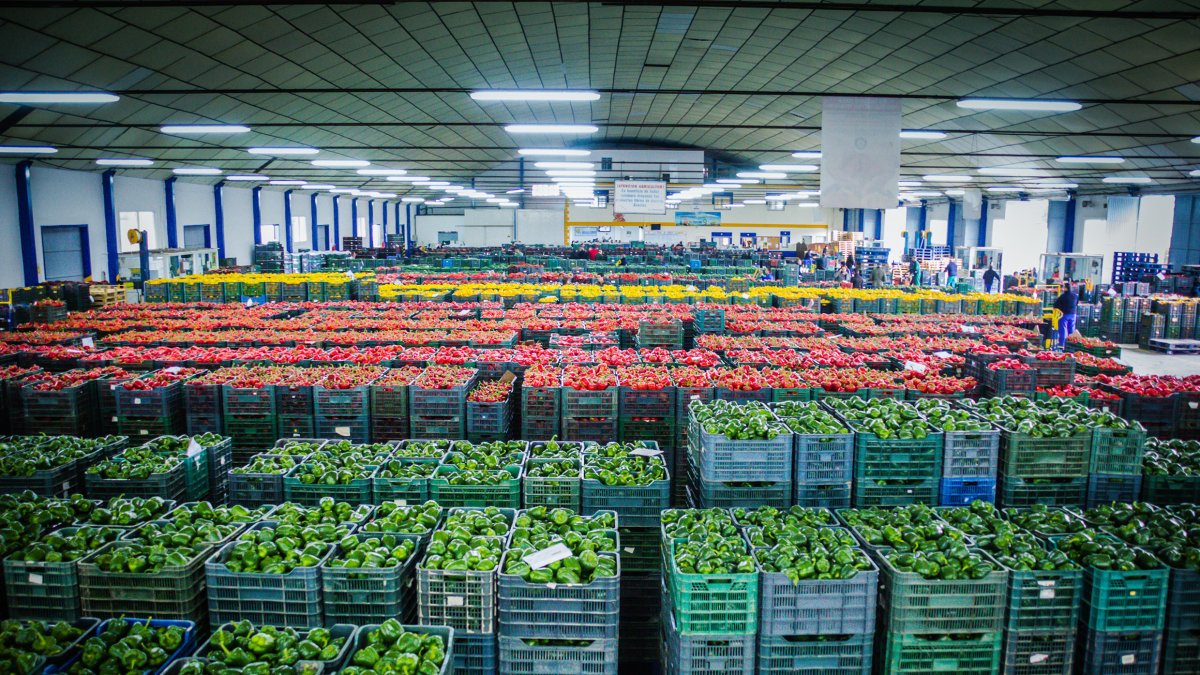A pesar de la caída en frutas, el consumo de hortalizas en España sube ligeramente.