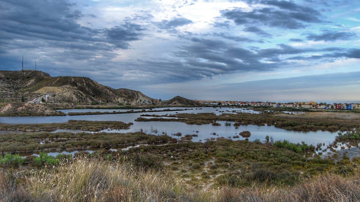El Salar de los Canos de Vera.