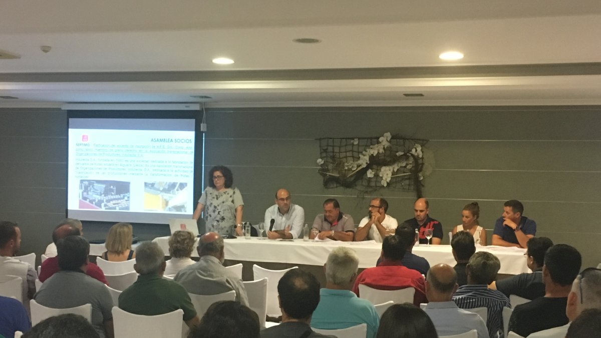 Imágenes de la asamblea de socios de la organización de productores AFE de Almería.