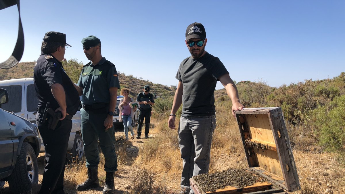 Un apicultor muestra las abejas muertas tras el asalto a una explotación en Felix