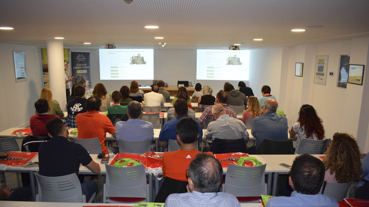 Las nuevas instalaciones  del Colegio de Veterinarisos de Almería.