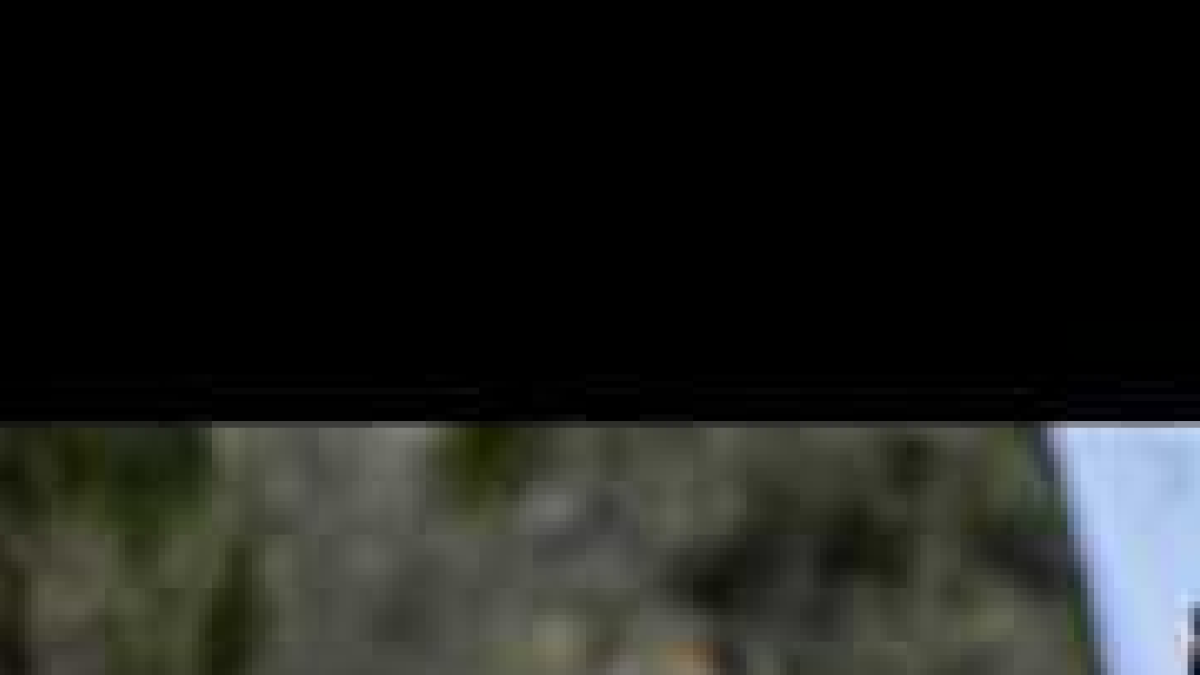 El corredor levanta los brazos.