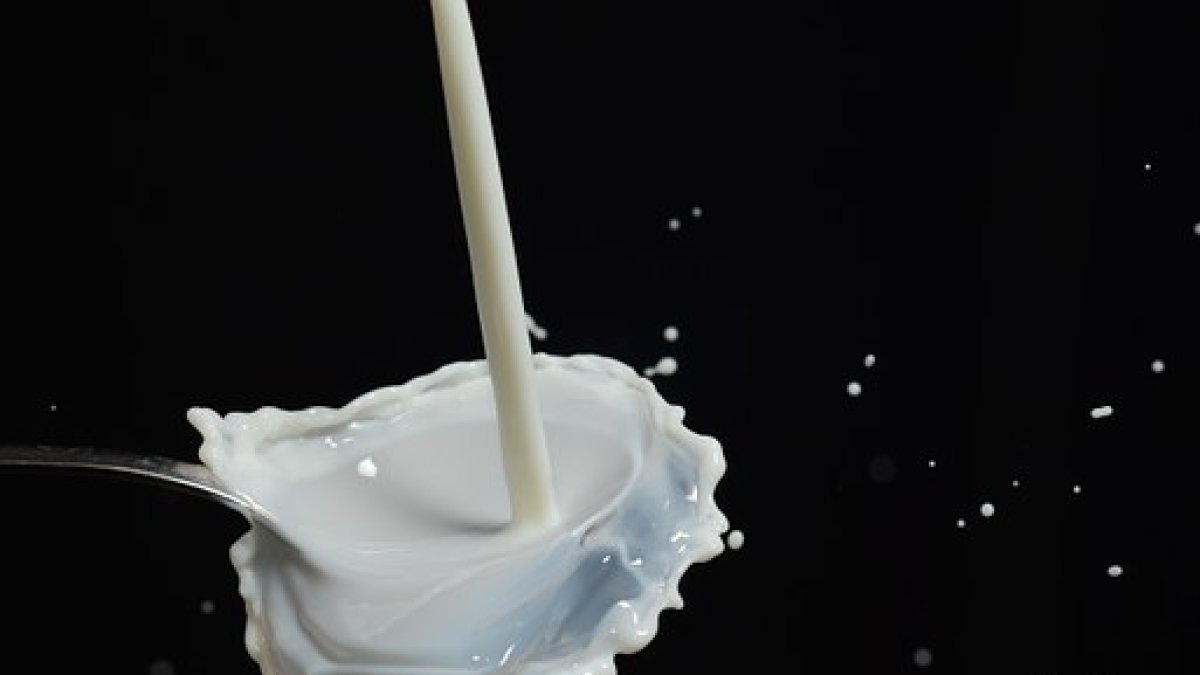 Según el estudio, la leche entera tiene más calorías pero también tiene más nutrientes.