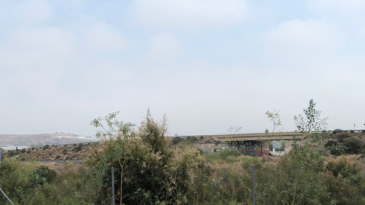 Este solar tiene abierto un expediente por no cumplir la ley de limpieza y desbroce.