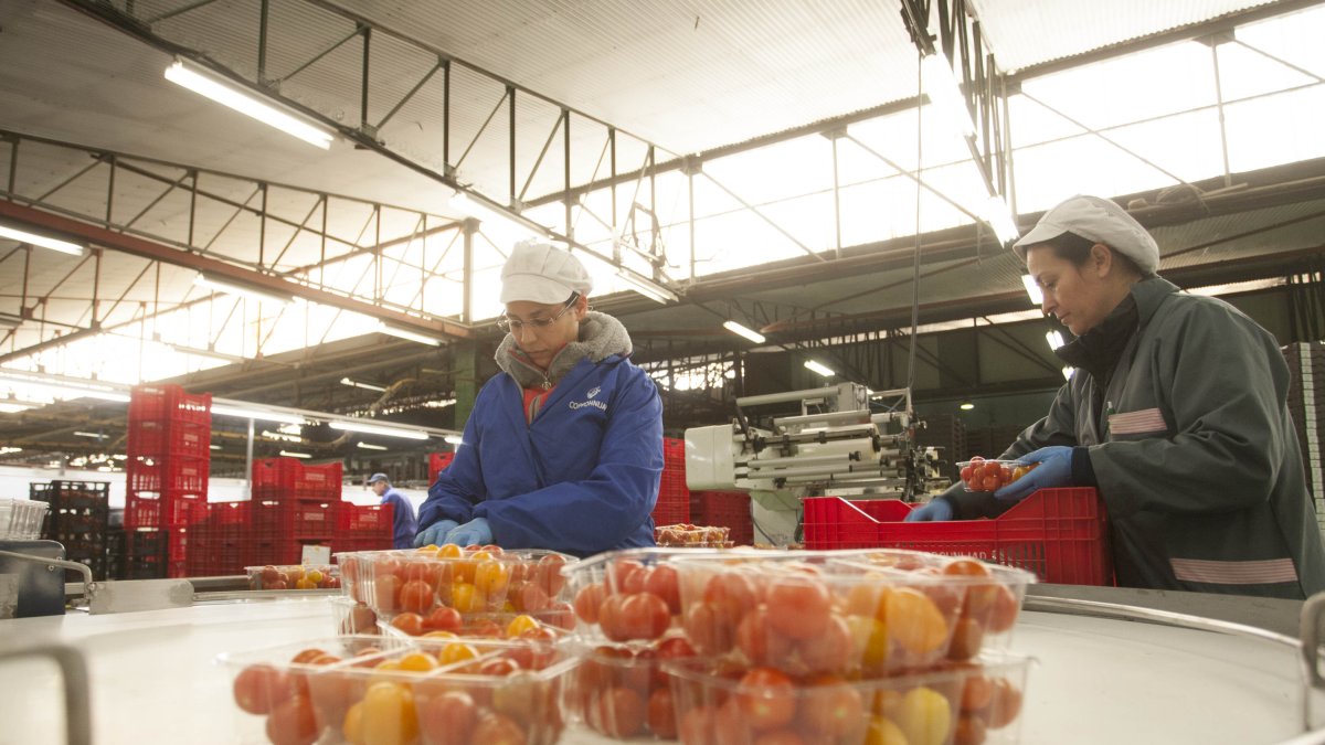 Las nuevas instalaciones de Coprohnijar refuerzan su apuesta por la agricultura ecológica.