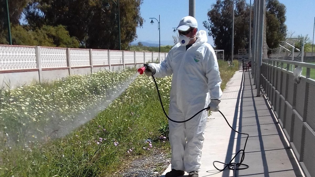 Fumigación en una de las zonas del municipio.