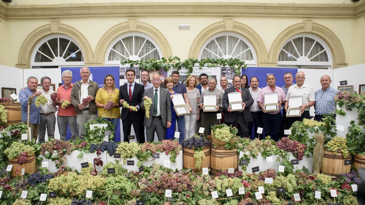 El bodegón con las 60 variedades de uva de mesa y los parraleros homenajeados.