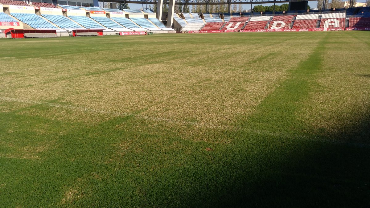 Así está la hierba este domingo.