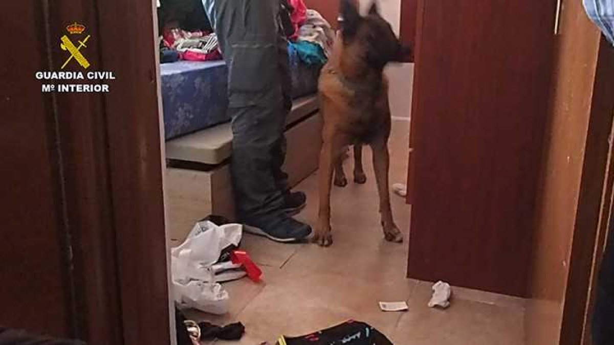 Imagen del registro de la vivienda por parte de la Guardia Civil.