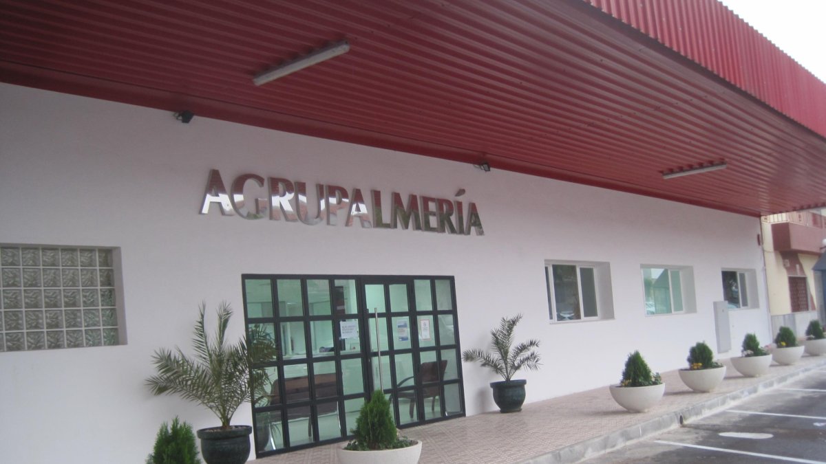 Instalaciones de Agrupalmería justo en el momento en el que fueron modernizadas.