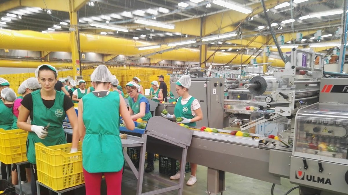 Empresa agrícola en El Ejido.