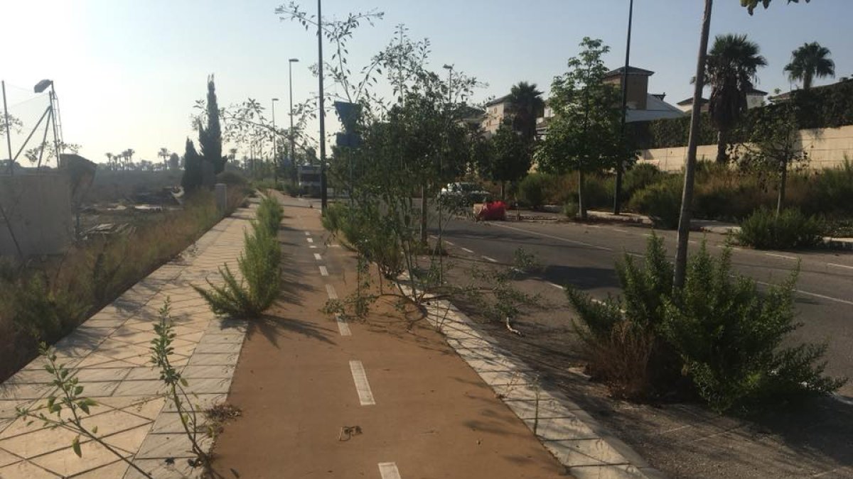 La meleza invade el carril bici y la carretera en la zona de Vera Playa.