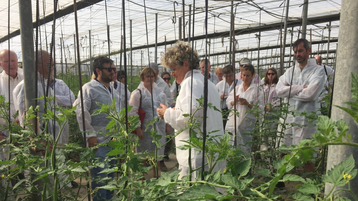 Visita de los investigadores europeos a la finca de Clisol Agro