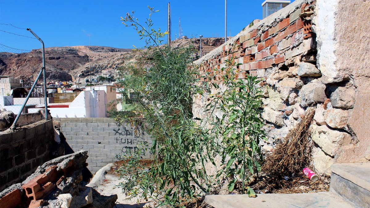 Los solares convertidos en basureros se extienden por el sur a lo largo de la fachada del nuevo edificio.